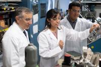 Rice University Researchers