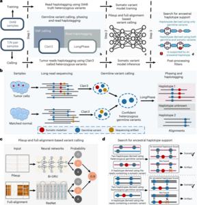 somatic variant-calling workflow