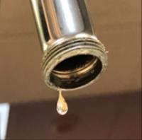 Hospital Faucets and Sinks Are Often Home to Slime and Biofilm