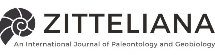 <em>Zitteliana</em> Logo