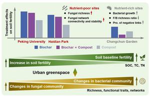 Fungi enhance biochar and compost effects on carbon accrual in nutrient-deficient urban greenspace soils