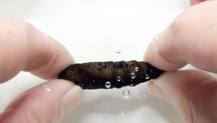 251207-Sugiura-Sounds-Bubbles