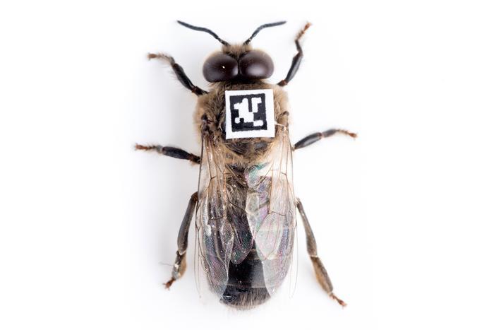 Drone with QR code tag.