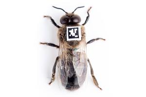 Drone with QR code tag.