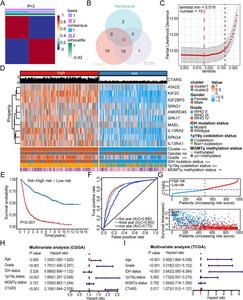 Glioma classification and risk score construction based on CTA-related gene expression