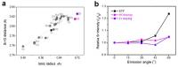Figrue 2 Cathode Surface of Solid Oxide Fuel Cell Stabilized