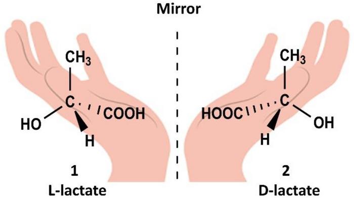 Mirror-Image Enantiomers