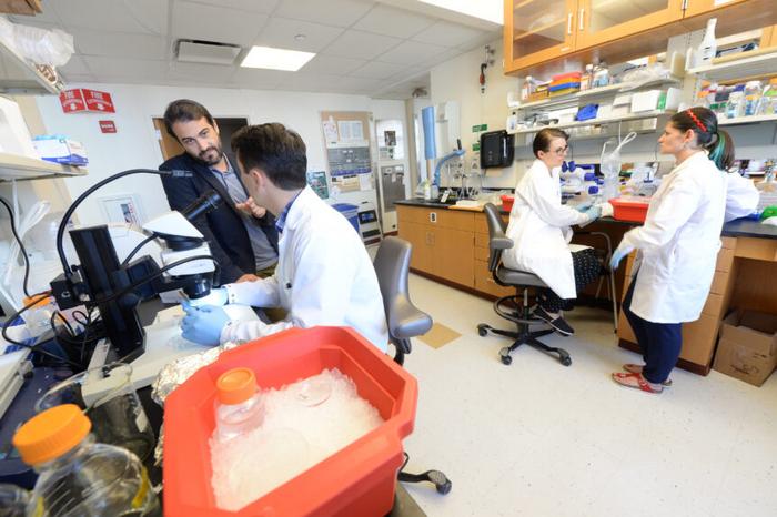 Lab of Dr. Evangelos Kiskinis at Northwestern Medicine