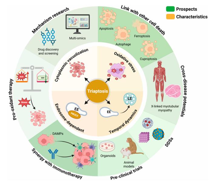 Fig. 1: Future perspectives