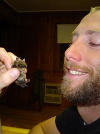 Bats and Rabies (2 of 2)