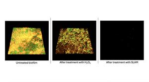 Research Image