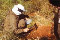 Tunguska-3