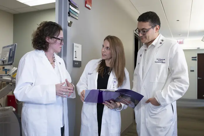 Ovarian-aging scientists convene