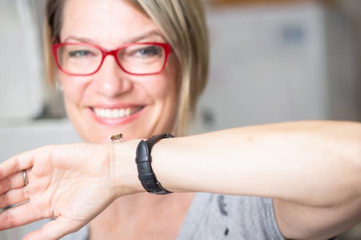 Professor Karin Nordström