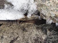 Iron Age Arrow