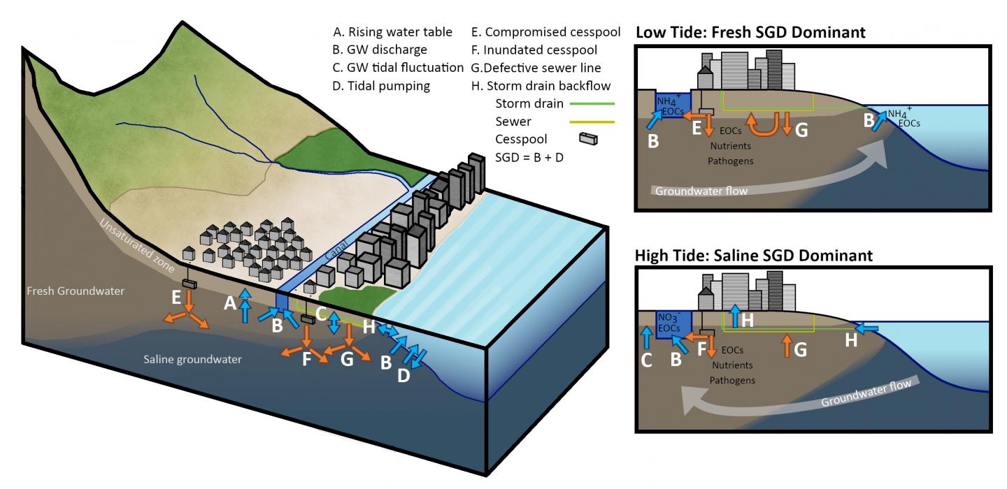 Graphic of water connections