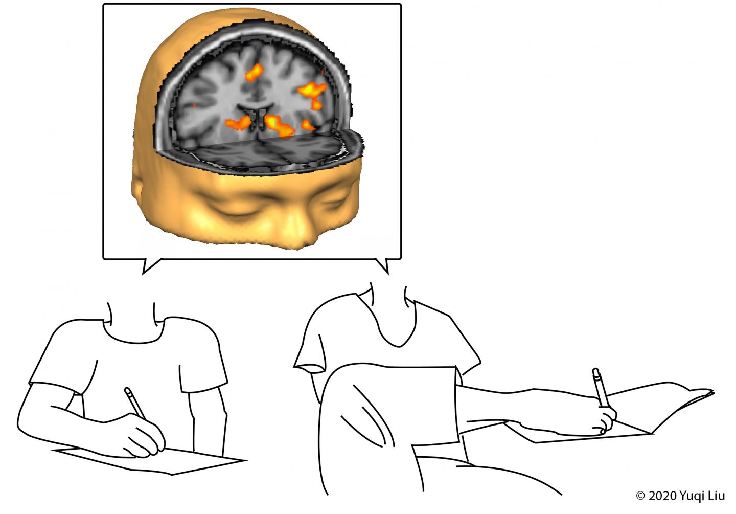 Study of Reaching and Grasping with Hand or Foot Reveals Novel Brain Insights