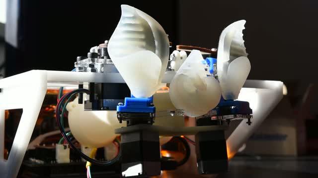 Robotic Sonar Head