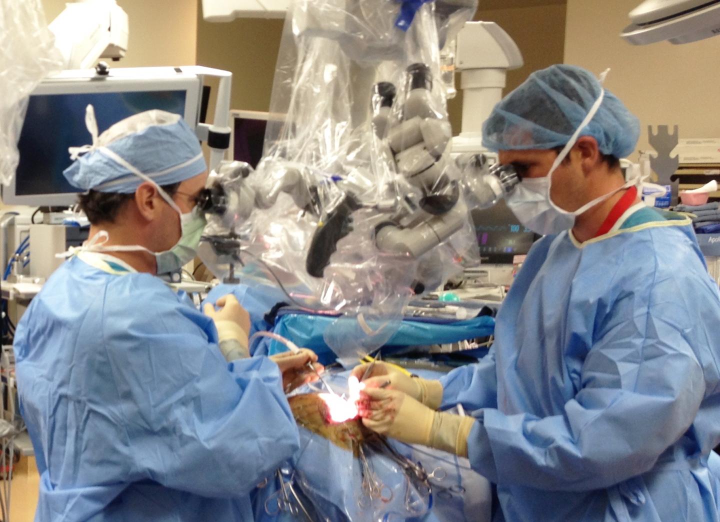 Dr. G. Michael Lemole, Jr., And Dr. Travis Dumont, University Of Arizona