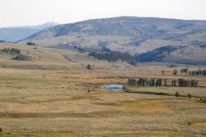 Summer in the Lamar Valley