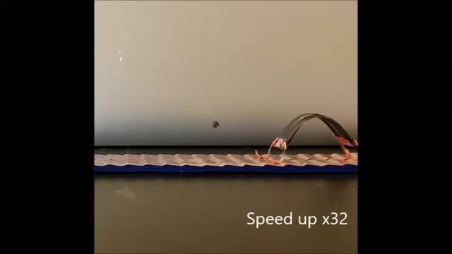 Crawling Robot