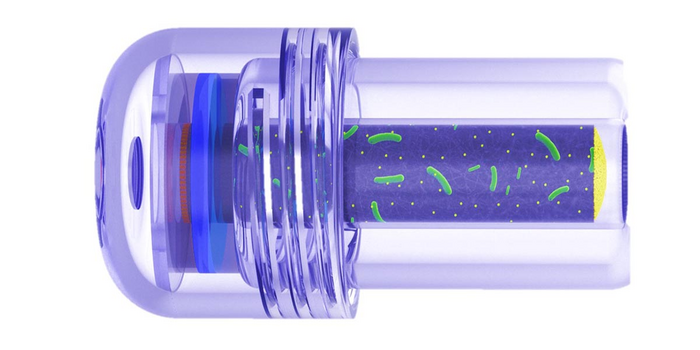 Ingestible battery
