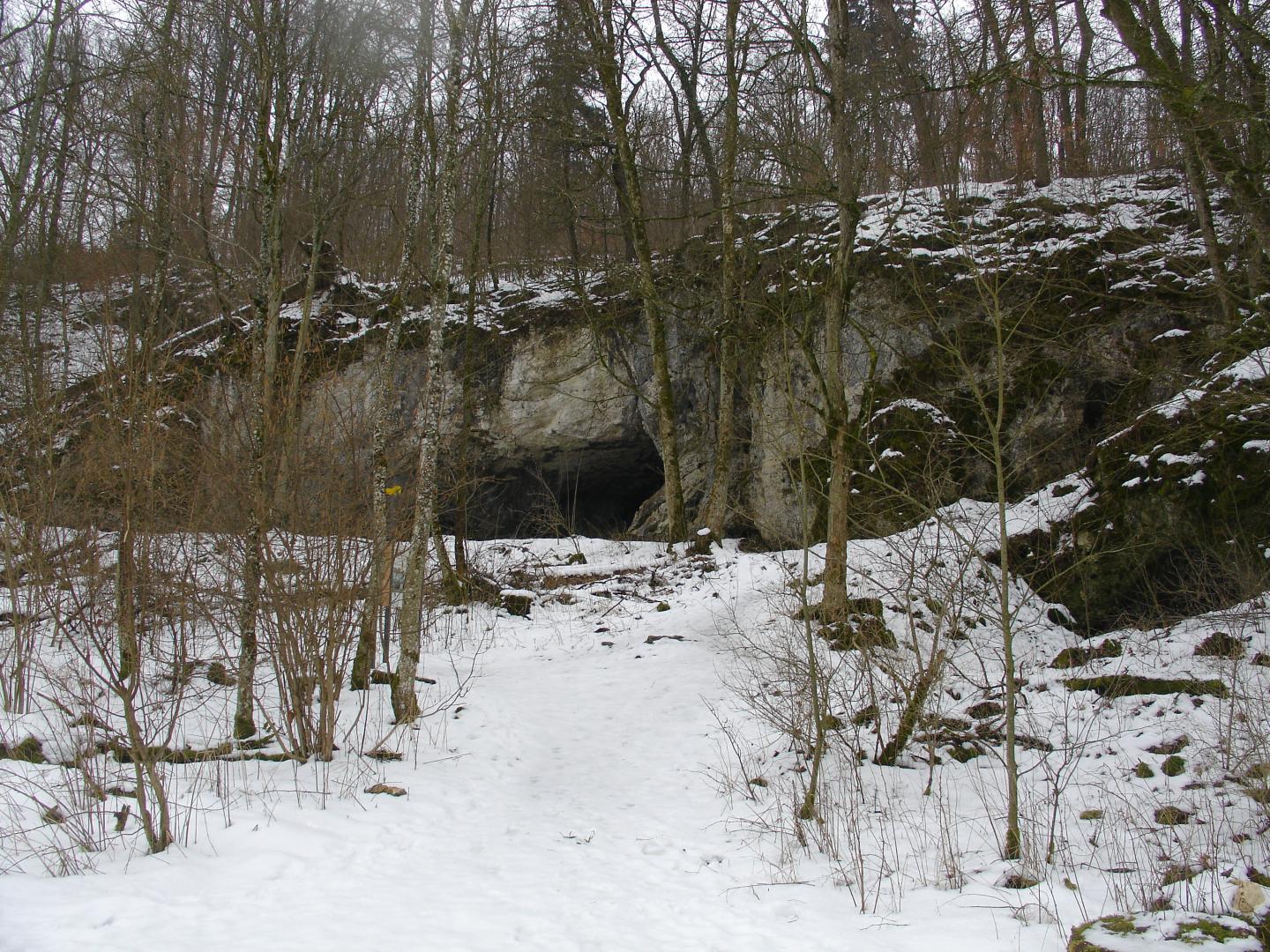 Ancient DNA Analysis Adds Chapter to the Story of Neandertal Migrations (4 of 6)