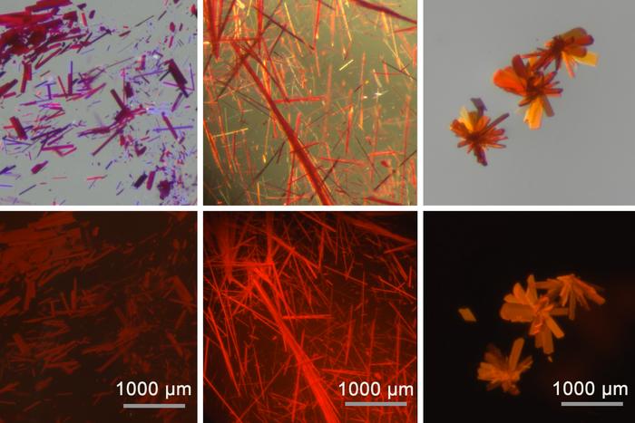 Red fluorescent dyes
