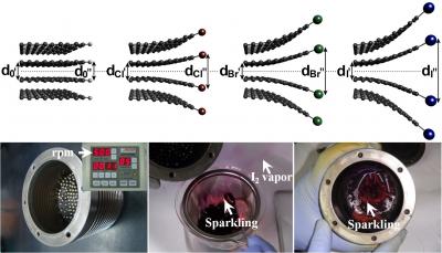 Edge-Halogenated Graphene