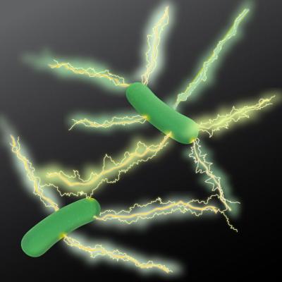 <I>Geobacter pili</I>