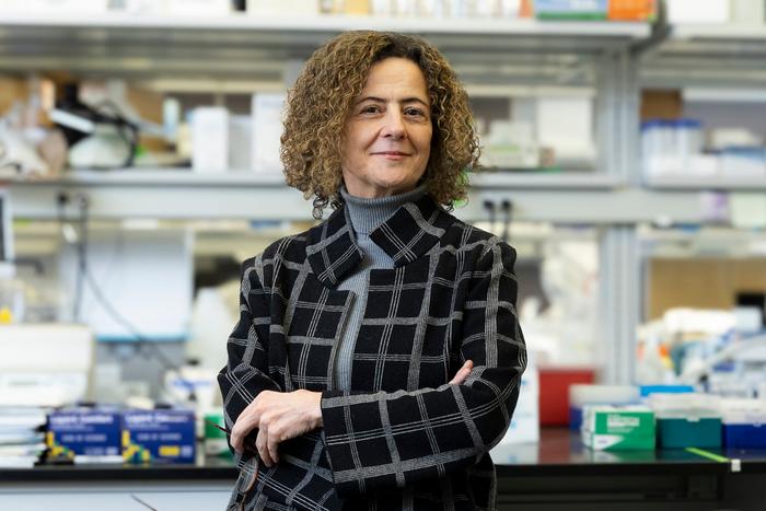 Dr. Orly Lazarov