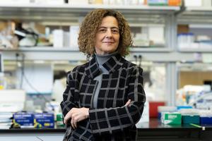 Dr. Orly Lazarov
