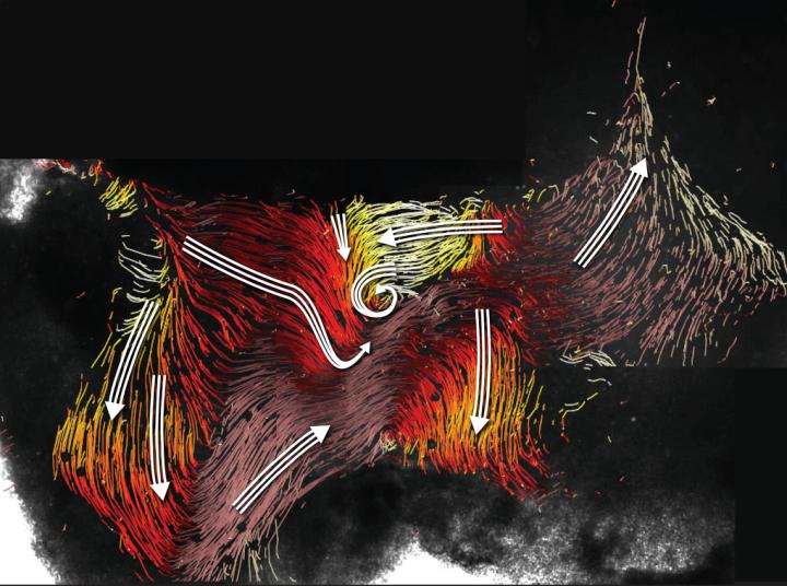Flow Map