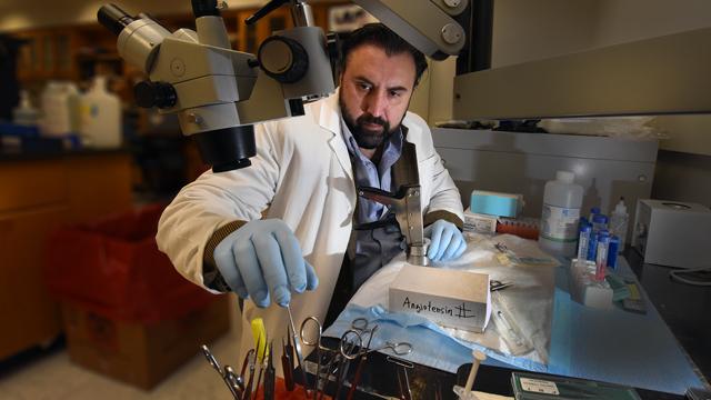 Dan Rudic, Medical College of Georgia at Augusta University