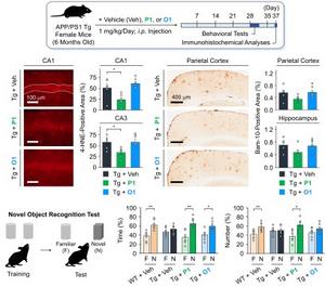 KAIST Proposes a New Dementia Treatment Strategy by Repositioning Molecules without Changing Their Chemical Composition​