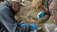 Excavation