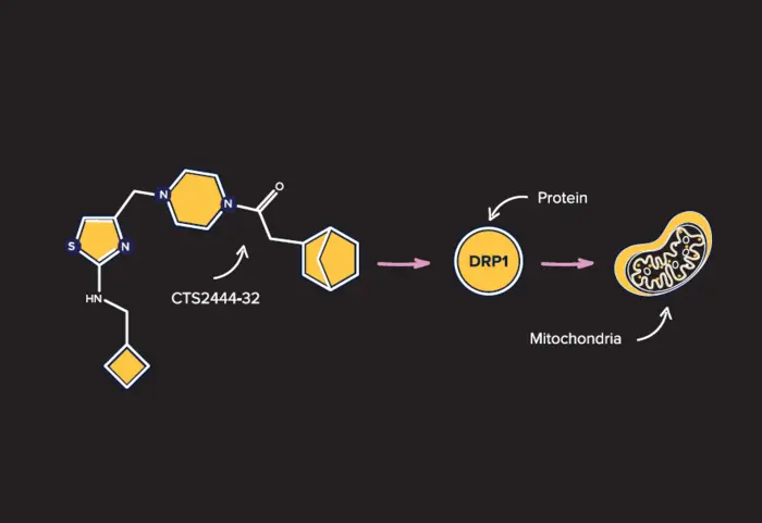 CTS2444-32 reduced inflammation in the brain and lowered levels of toxic proteins