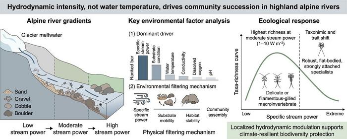 Hydrodynamic intensity drives community succession across alpine river gradients.