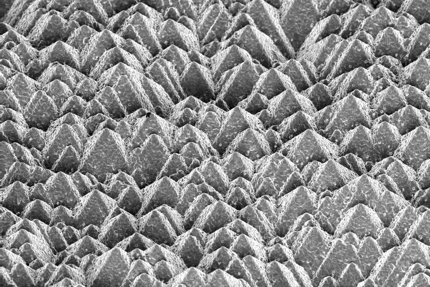 Silicon's Pyramids Covered with Perovskite