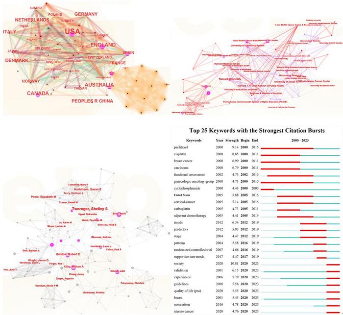 Global Research Landscape on Ovarian Cancer Care (2000–2023)
