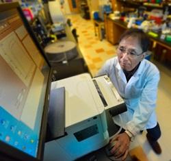 Blocking Excessive Division of Cell Powerhouses Reduces Liver Cell Death in Cholestasis