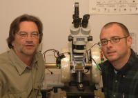 University of Utah Researchers