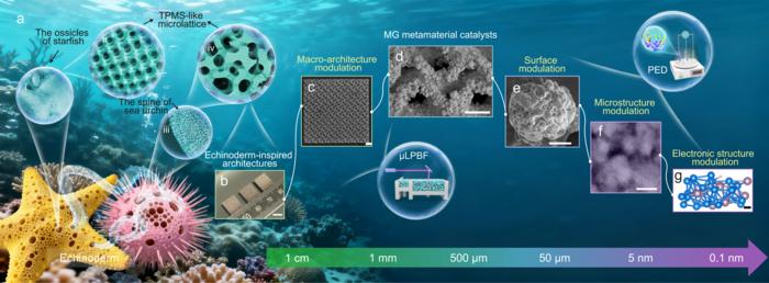 A catalyst designed across length scales