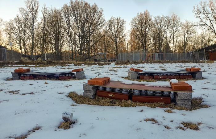 Winter fieldwork at Tovetorp