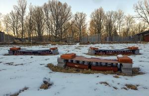 Winter fieldwork at Tovetorp