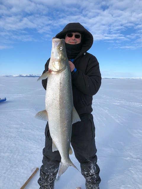 Alex Whiting, 	University of Alaska Fairbanks