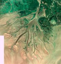 Wetlands