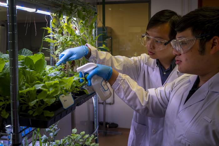 Nanoparticle smart spray testing
