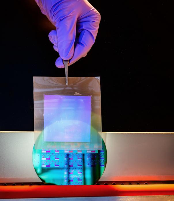 Single-crystalline silicon nanomembrane