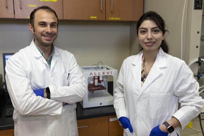Ali Ubeyitogullari and Sorour Barekat-Sorghum Protein as 3D Food Printing Bioink
